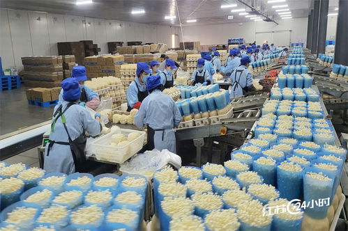 工廠化種植食用菌 規(guī)?；?yīng)與日用雜品市場的融合新機(jī)遇